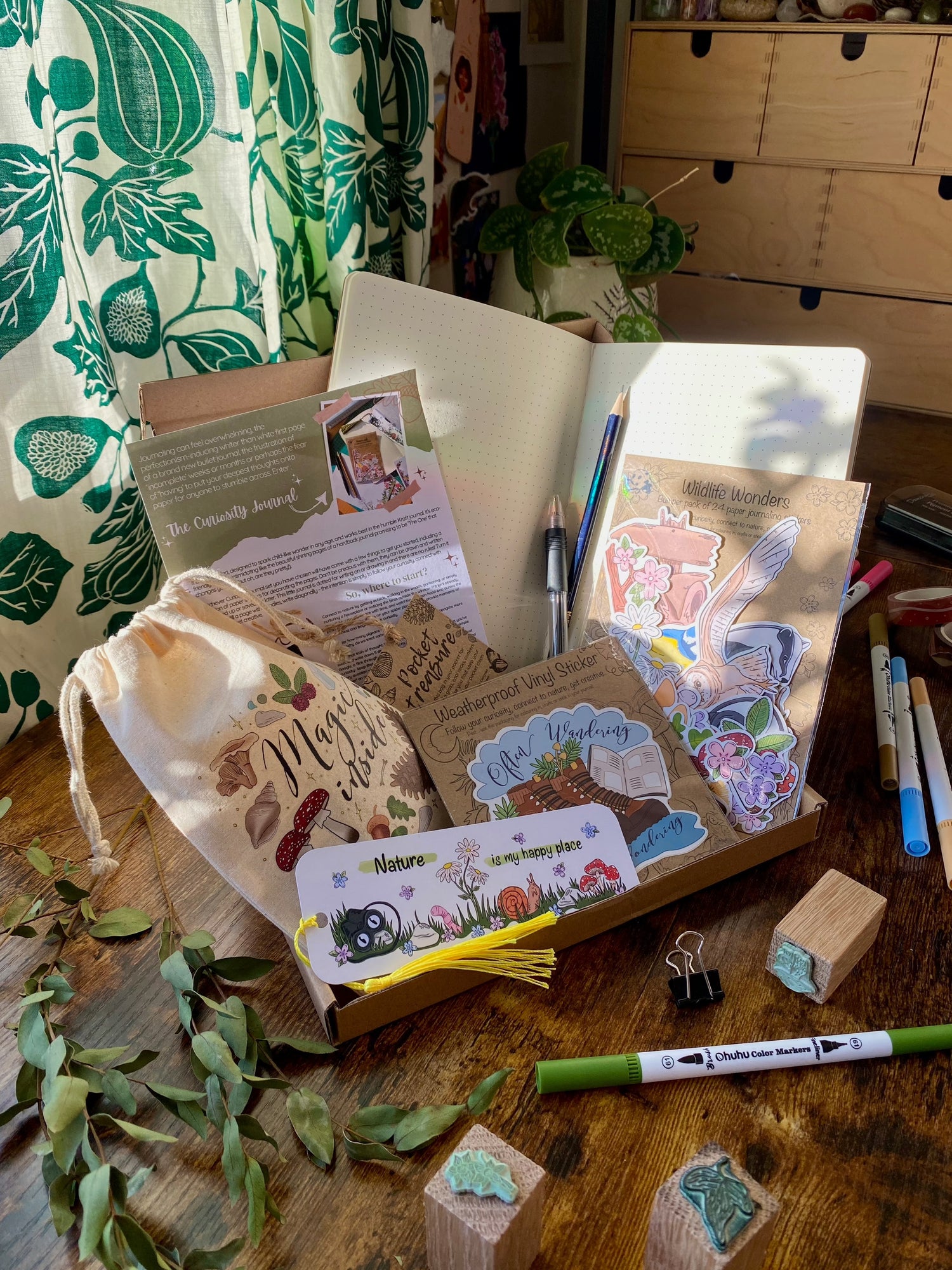 Curiosity Journaling