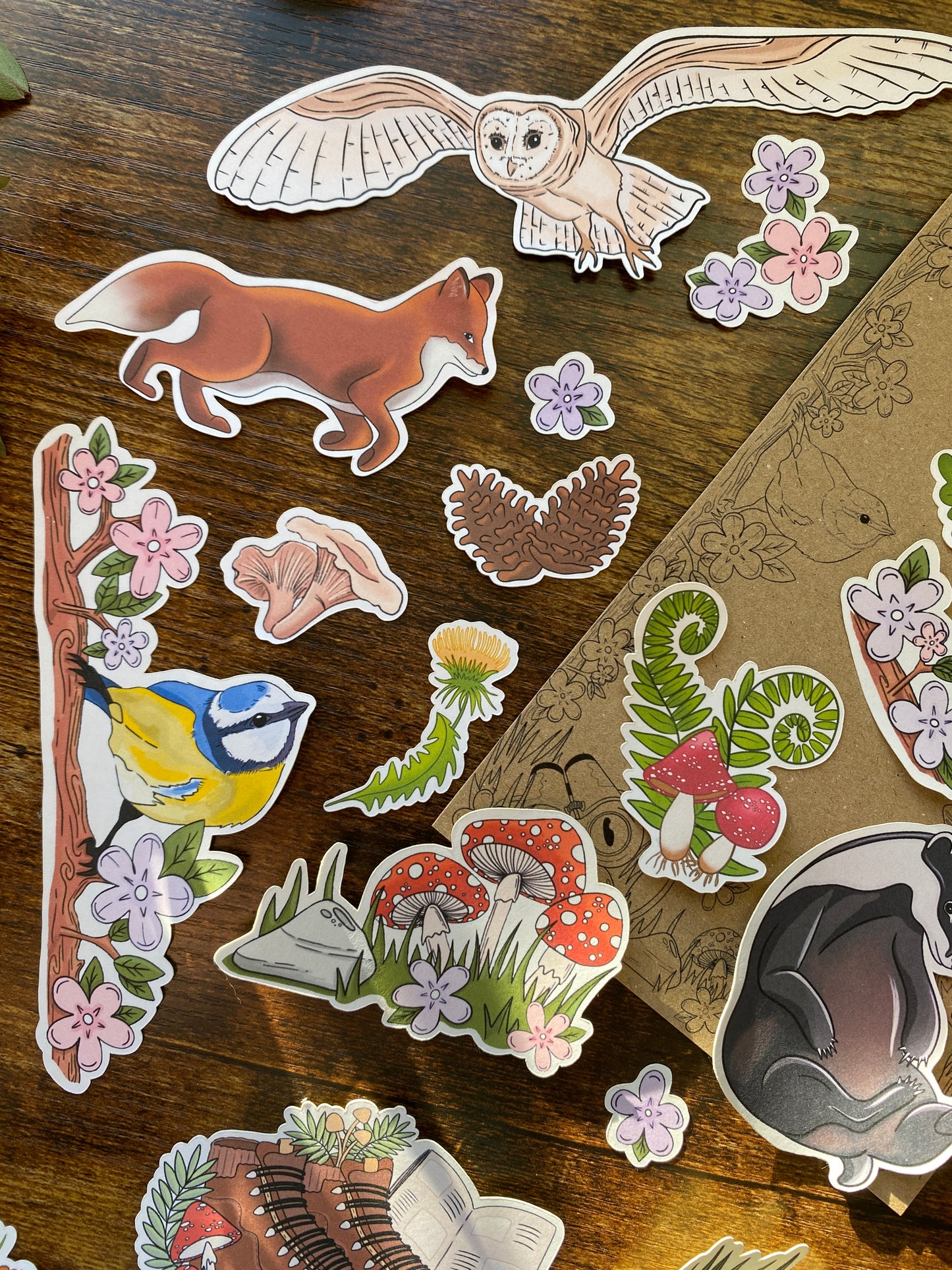 Wildlife Wonders bumper sticker pack