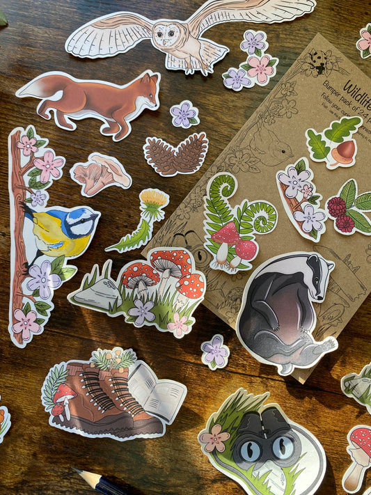 Curiosity Journaling starter kit - Nature Walk Edition