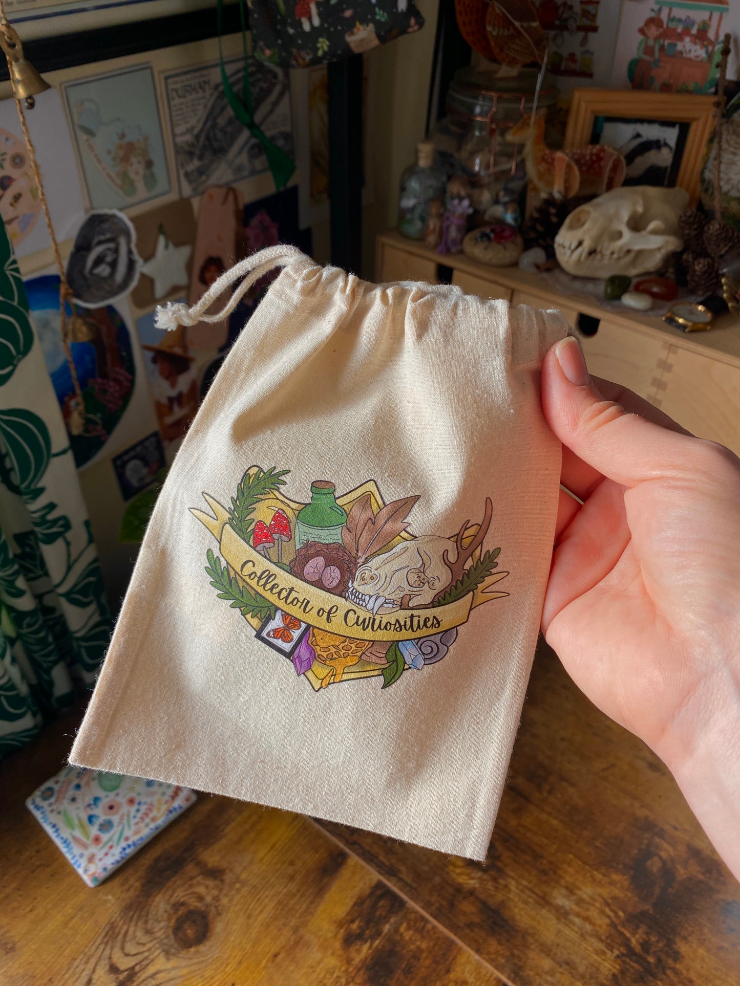 Collector of Curiosities drawstring bag