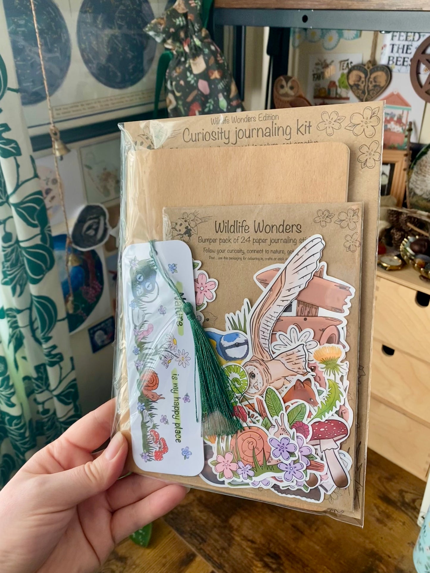 Curiosity Journaling starter kits