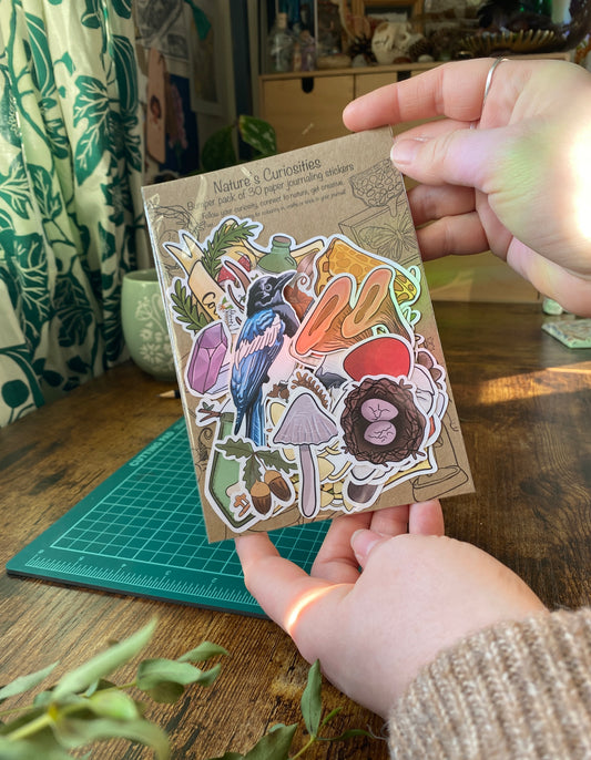 Nature's Curiosities bumper sticker pack