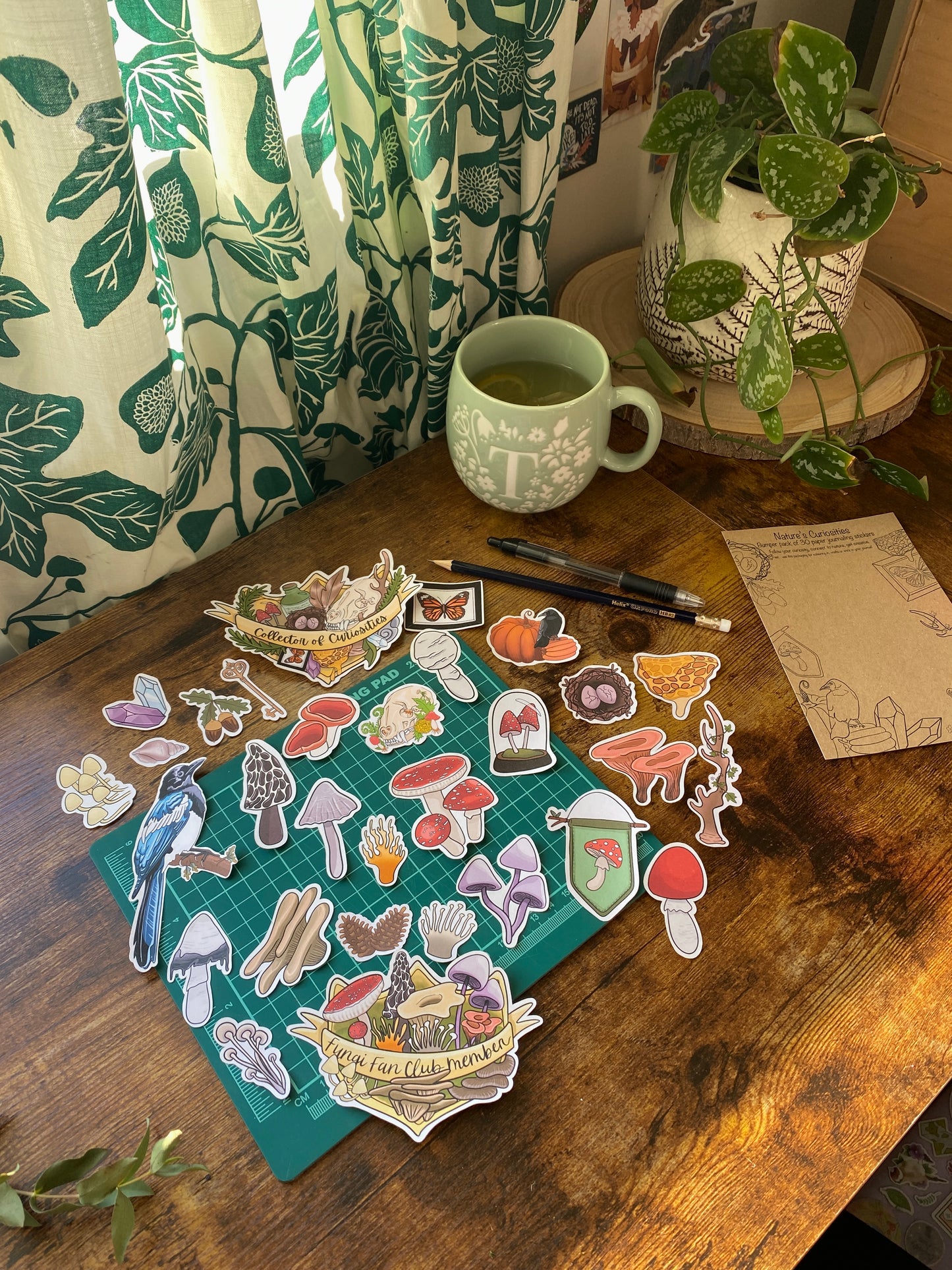 Nature's Curiosities bumper sticker pack