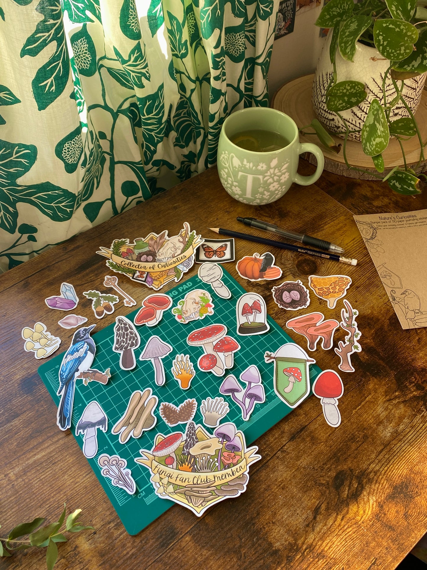 Curiosity Journaling starter kit - Nature's Curiosities Edition