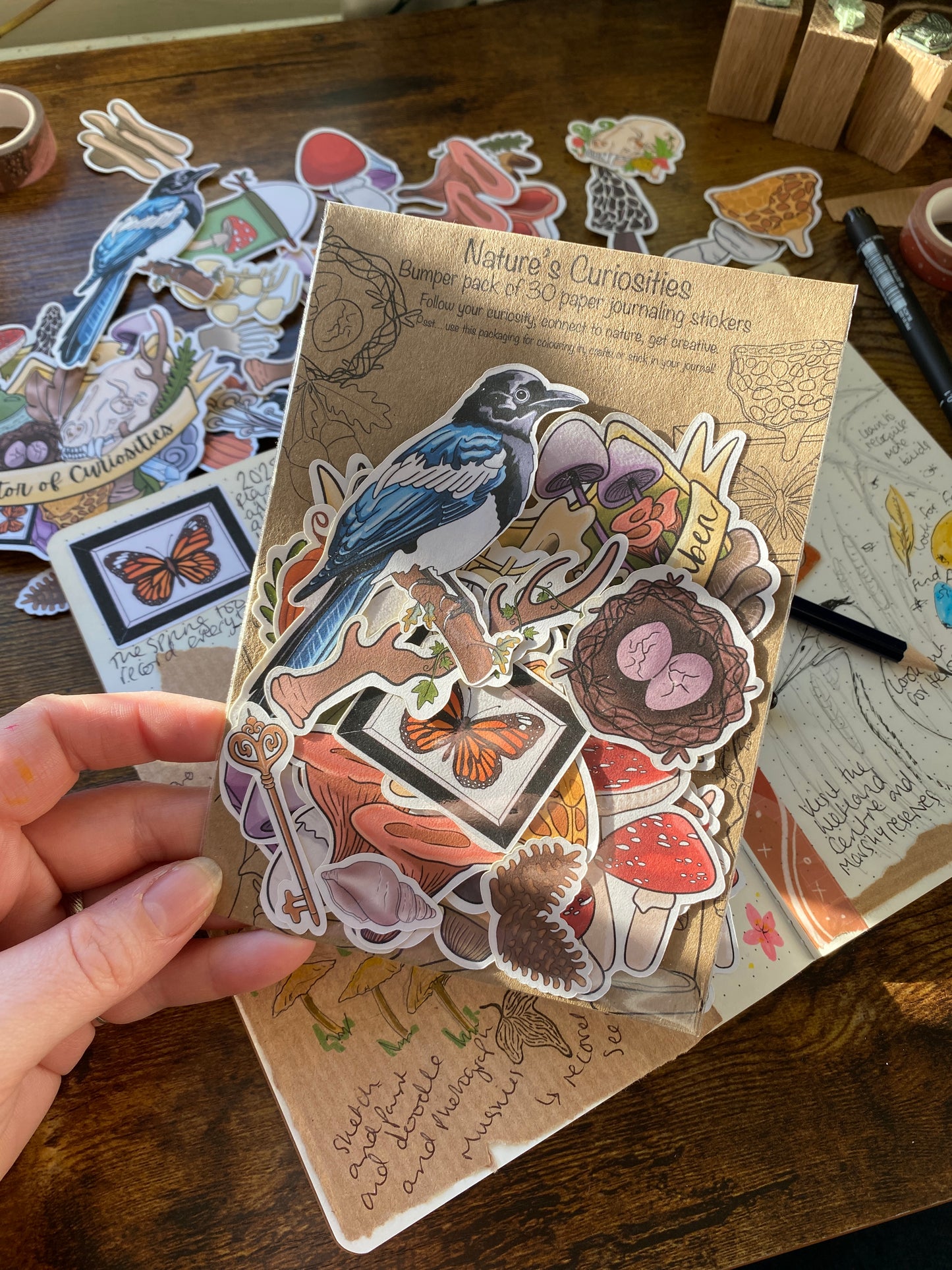 Curiosity Journaling starter kit - Nature's Curiosities Edition