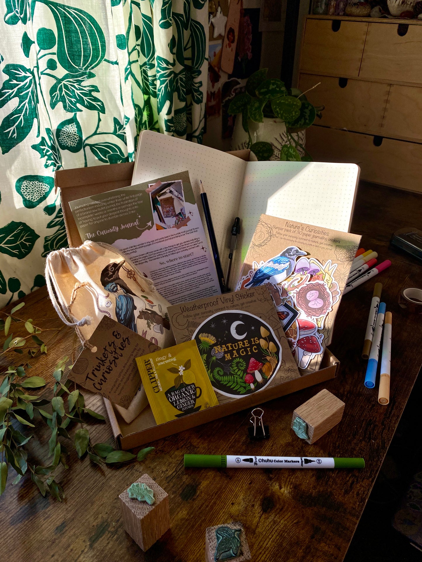 Curiosity Journaling starter kit - Nature's Curiosities Edition