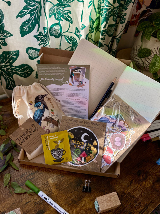 Curiosity Journaling starter kit - Nature's Curiosities Edition