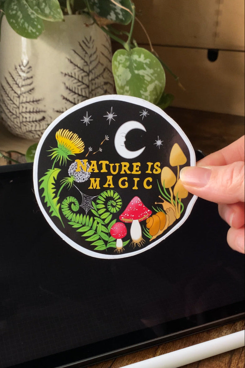 Curiosity Journaling starter kit - Nature's Curiosities Edition