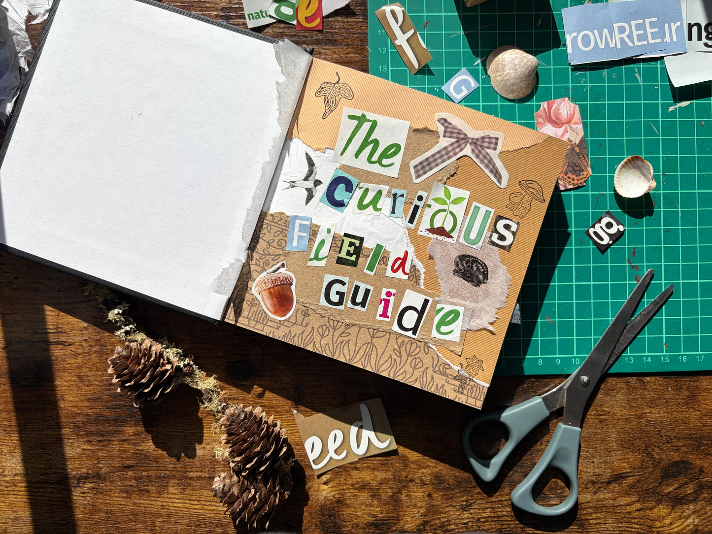 Mail club - Letters from The Curious Field Guide 🌿