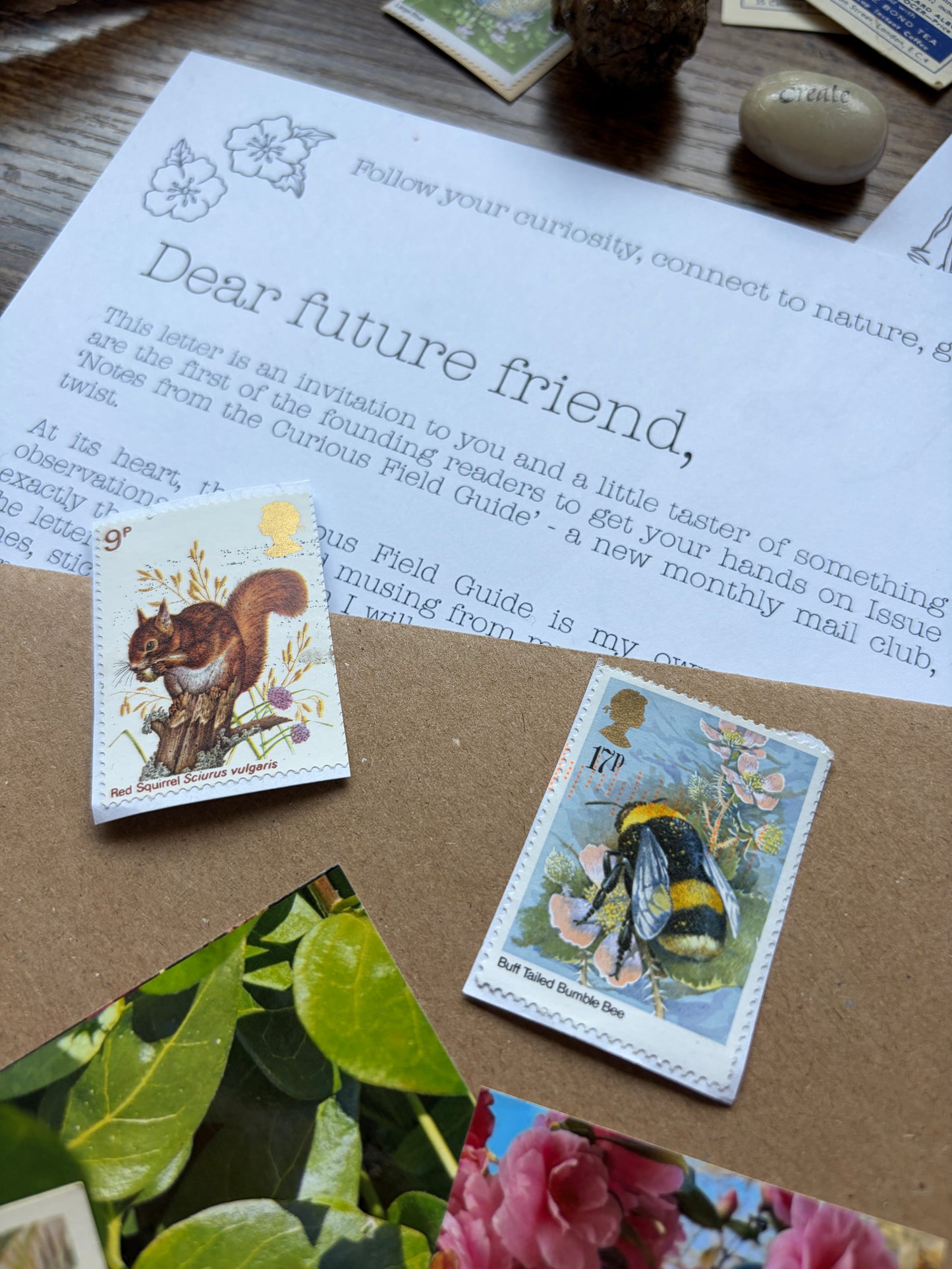 Mail club - Letters from The Curious Field Guide 🌿