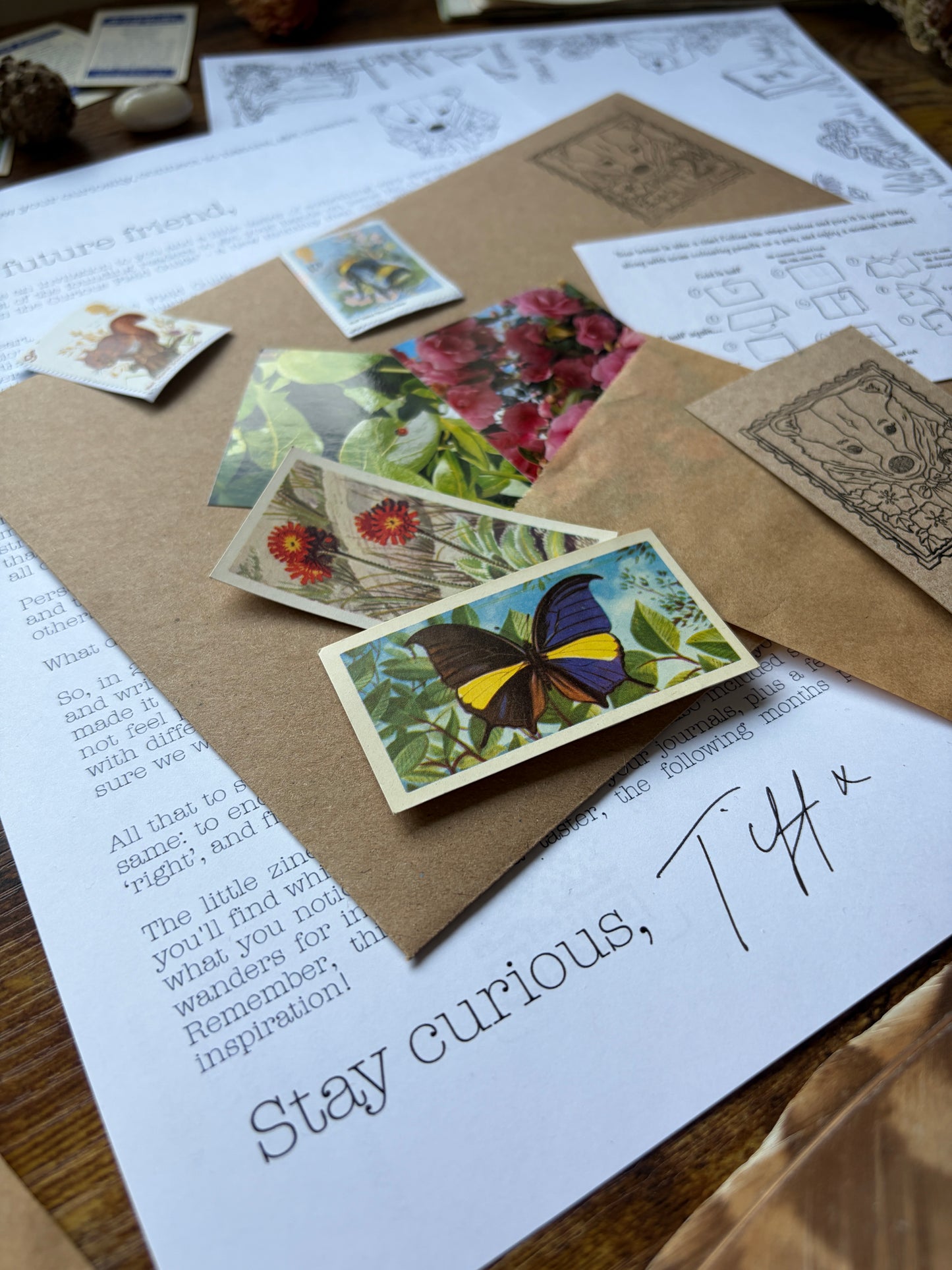 Mail club - Letters from The Curious Field Guide 🌿