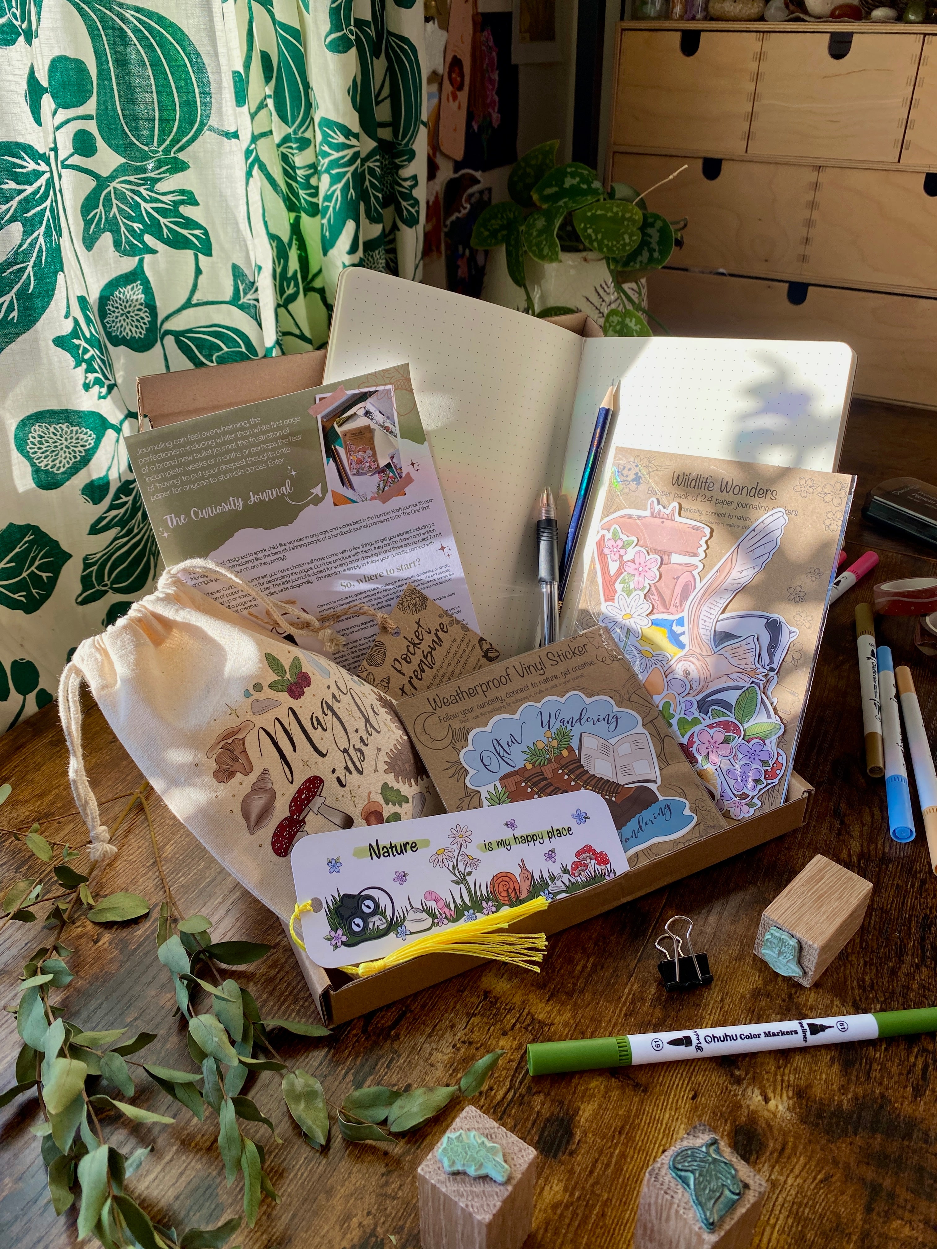 Curiosity Journal Curiosity Journaling starter kit - Nature Walk Edition – Curiosity frees