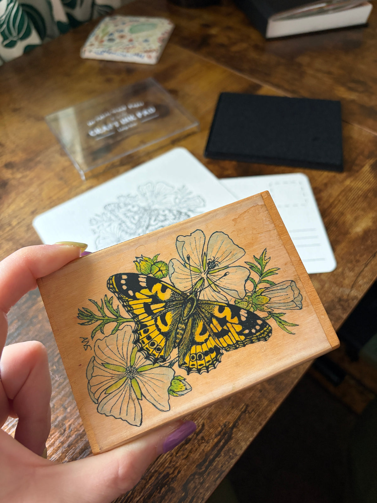 Mail club - Letters from The Curious Field Guide 🌿