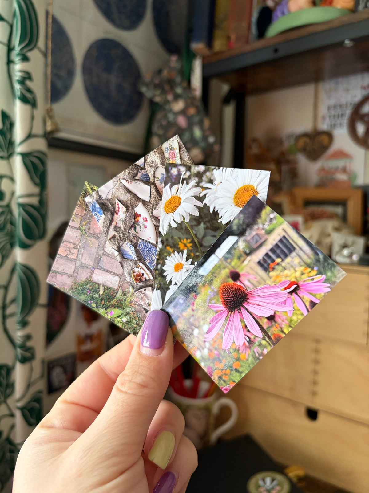 Mail club - Letters from The Curious Field Guide 🌿