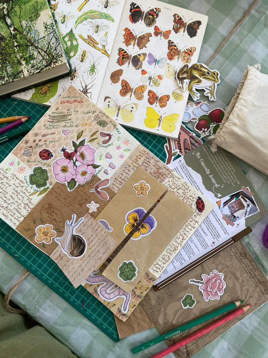 Curiosity Journaling starter kits