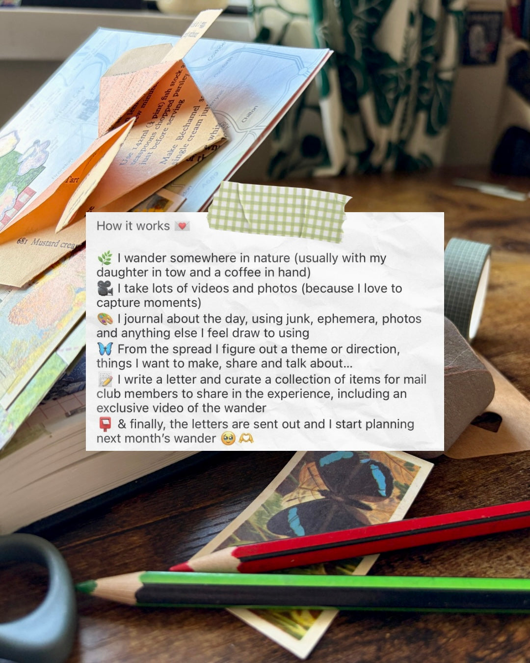 Mail club - Letters from The Curious Field Guide 🌿